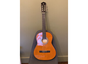 Tanglewood Discovery DBT34 (50969)