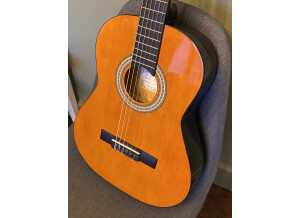 Tanglewood Discovery DBT34 (17154)