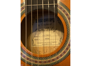 Tanglewood Discovery DBT34 (2929)