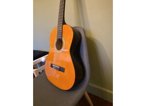 Tanglewood Discovery DBT 34