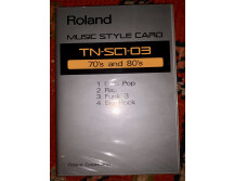 Roland KR500 (94597)
