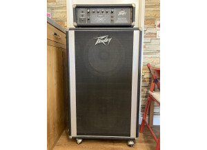 Peavey CENTURY 200H