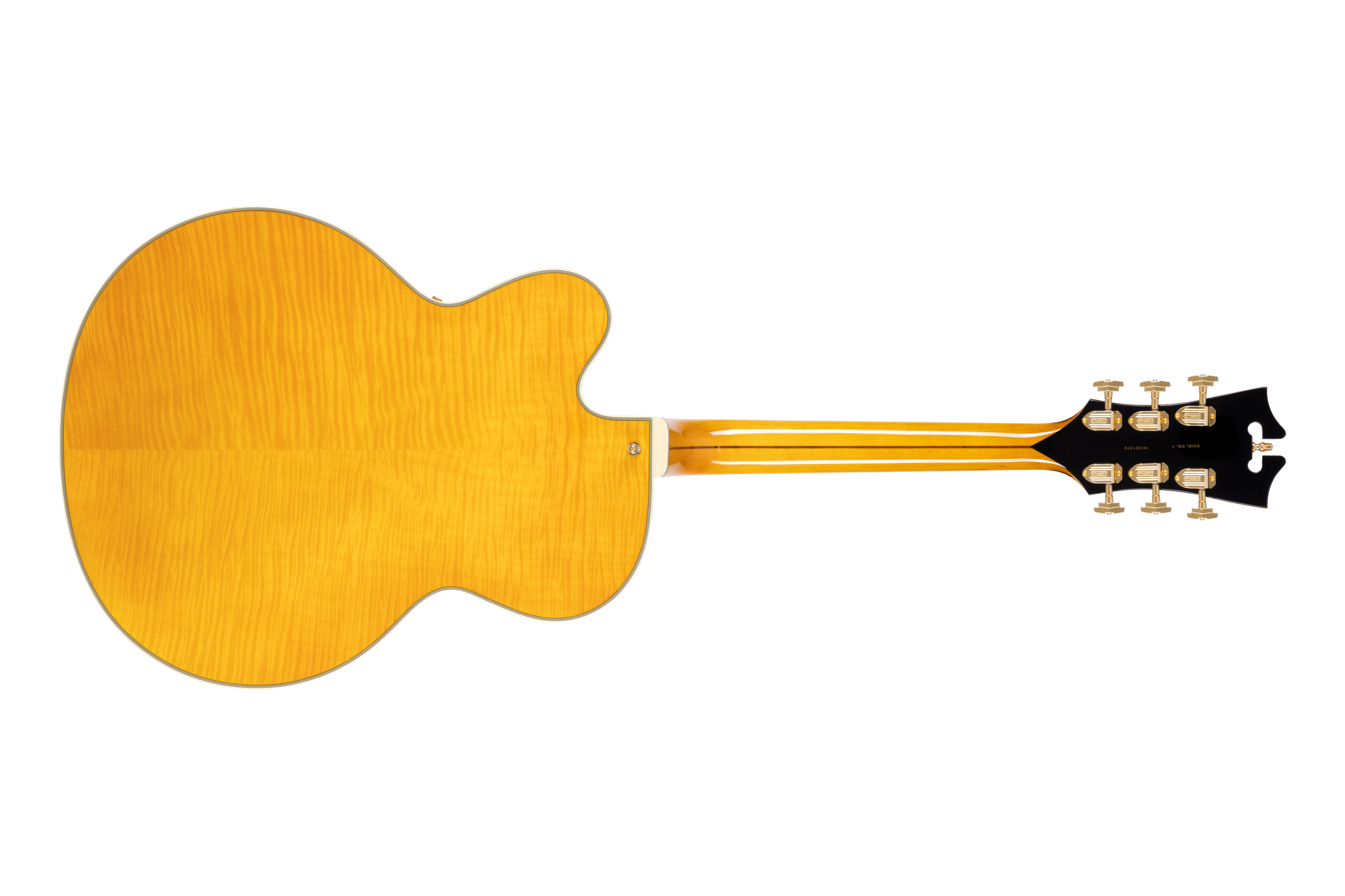 D'angelico Excel EXL-1 : Excel EXL-1 BACK