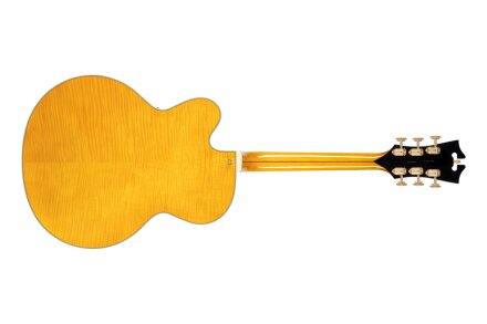 D'angelico Excel EXL-1 : Excel EXL-1 BACK D'angelico Excel EXL-1 : Excel EXL-1 BACK