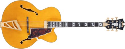 D'angelico Excel EXL-1 : Excel EXL-1 D'angelico Excel EXL-1 : Excel EXL-1