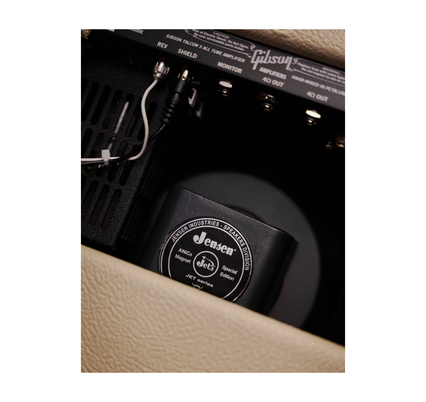 Gibson Falcon 5 : Falcon 5 rear