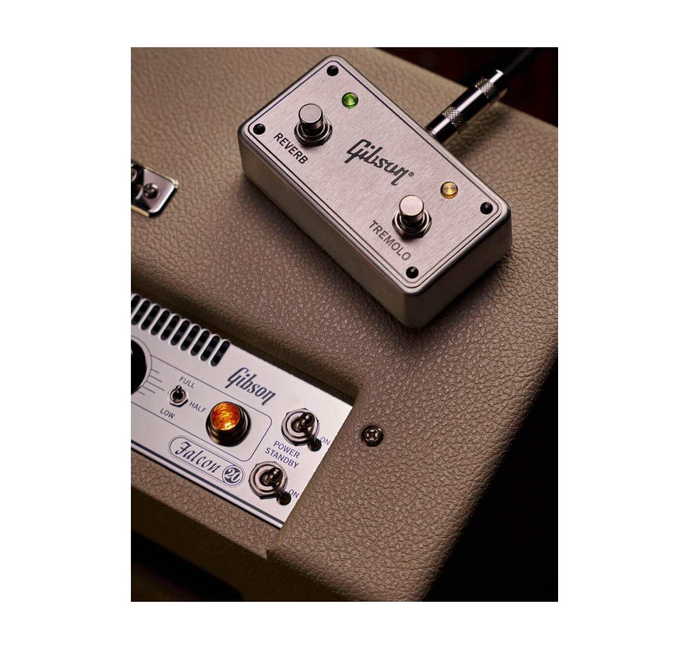 Gibson Falcon 20 : Falcon 20 foioitswitch