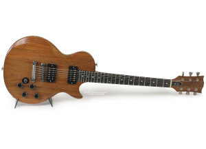 Gibson The Paul (6395)