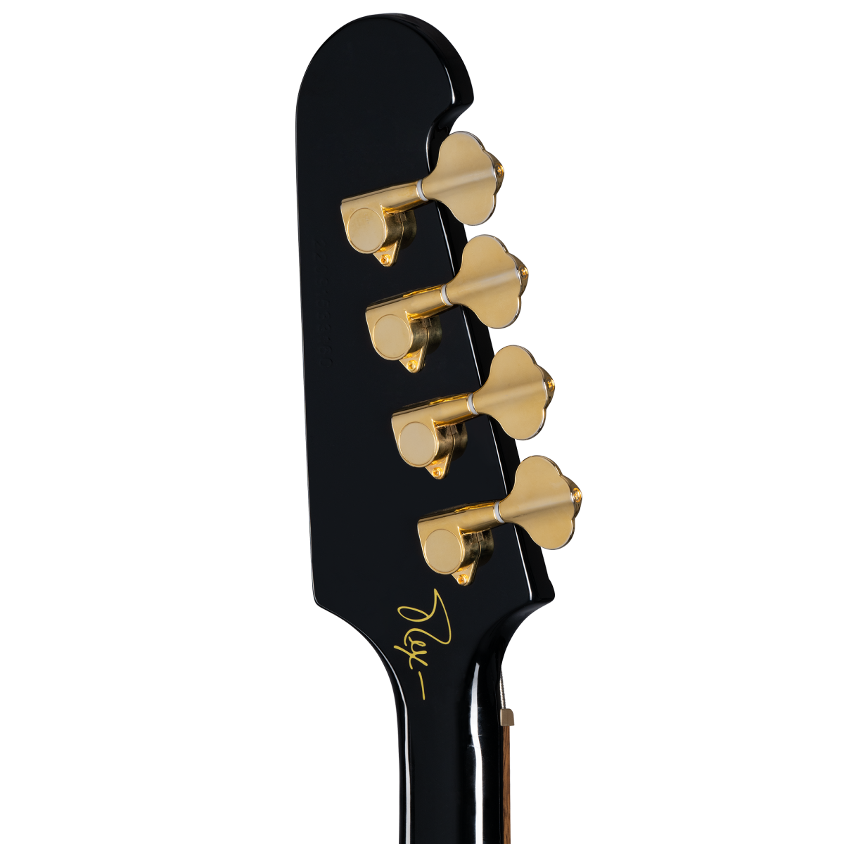 Rex Brown Thunderbird HEADStock