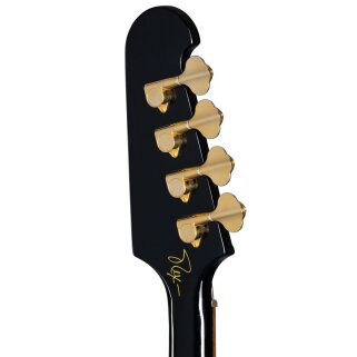 Rex Brown Thunderbird HEADStock Rex Brown Thunderbird HEADStock