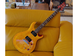 PRS SE Paul's Guitar (55948)