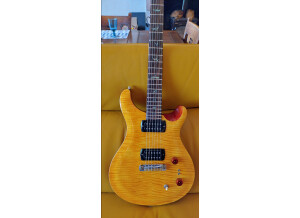 PRS SE Paul's Guitar (49286)