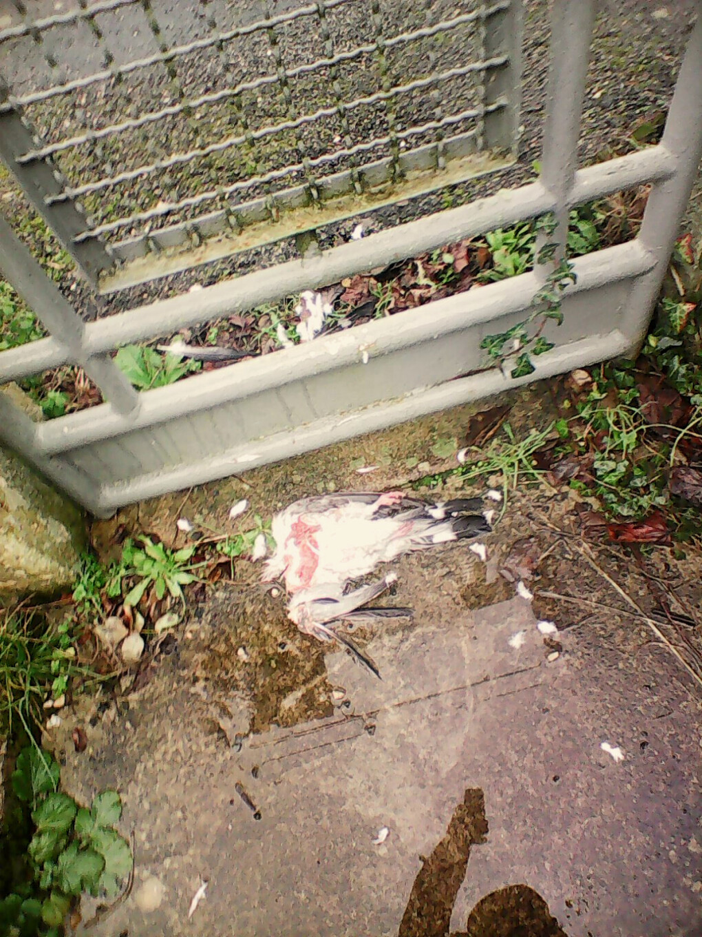 5951043.jpg 5951043.jpg