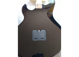 Line 6 Variax Bass 700 (28803)