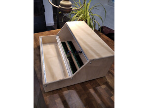 Behringer Brains (60364)