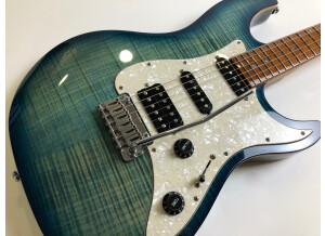 Sire Larry Carlton S7 FM (61285)