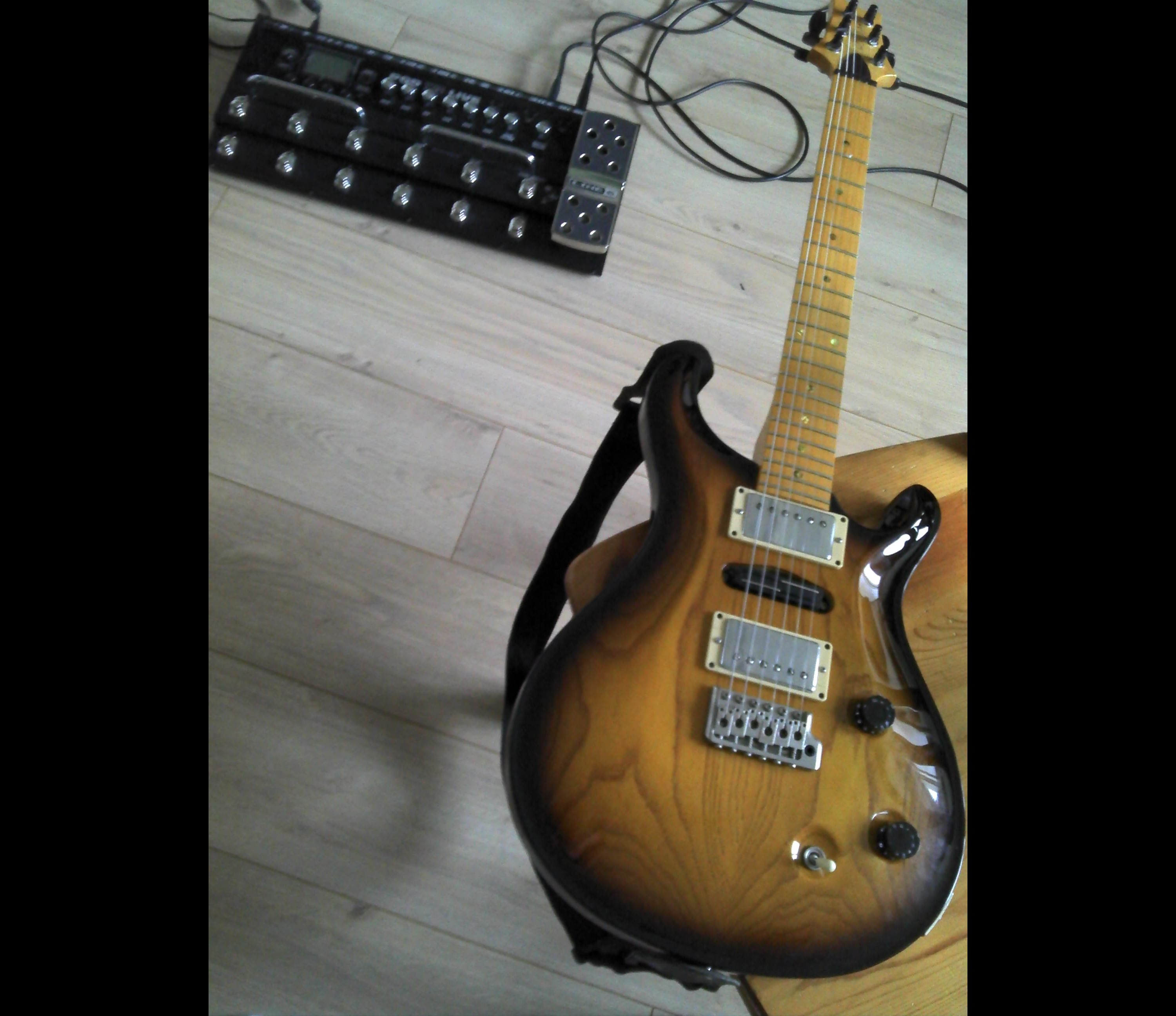 PRS Swamp Ash Special