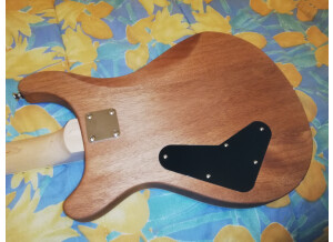 Harley Benton Electric Guitar Kit CST-24 (39636)