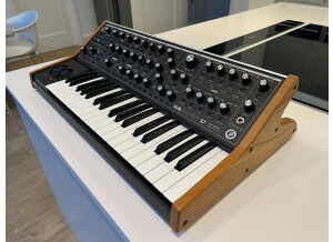 Moog Music Subsequent 37 (48890)