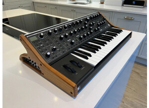 Moog Music Subsequent 37 (93068)