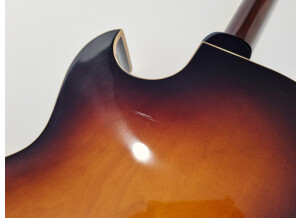 Gibson 1959 ES-175D & DN 2015 (38409)