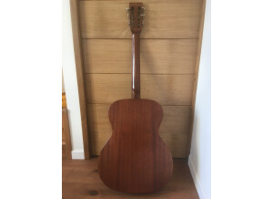 Tanglewood TW130 (60089)
