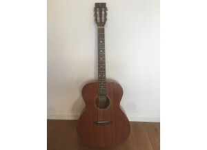 Tanglewood TW130 (36355)