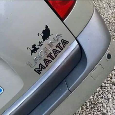5954701.jpg 5954701.jpg