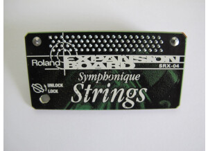 Roland SRX-04 Super Strings (92998)