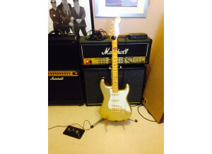 Squier 60th annivesary gold (57861)
