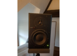 Dynaudio BM6A