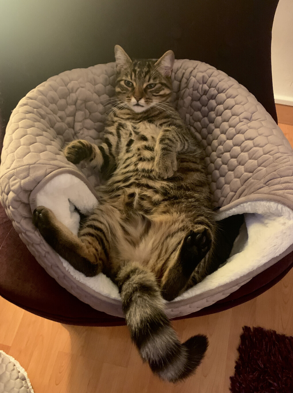 5956520.jpeg 5956520.jpeg