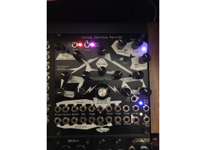 Noise Engineering Cursus Iteritas Percido (12807)