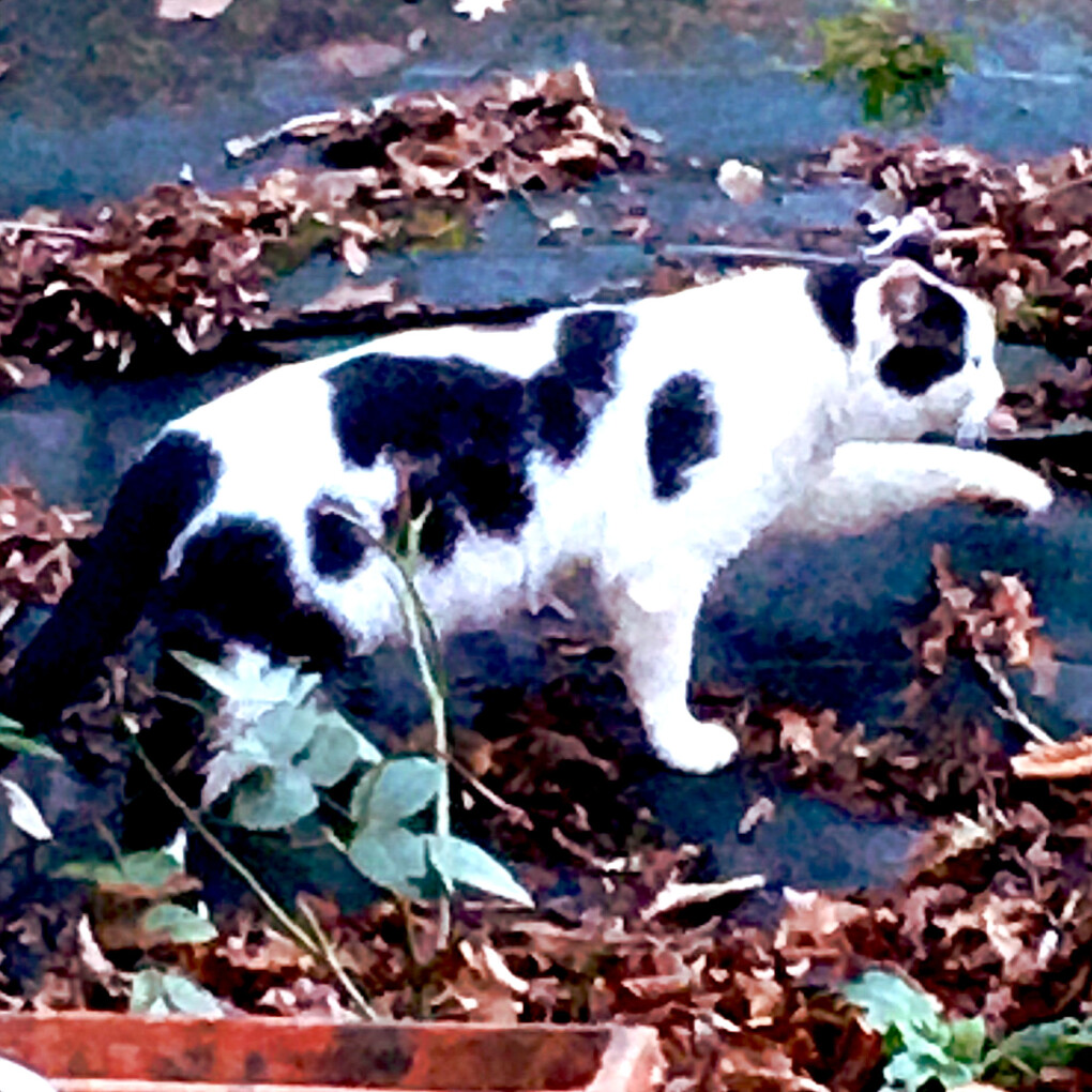 5957381.jpg 5957381.jpg