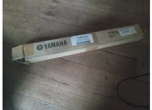Yamaha RK1