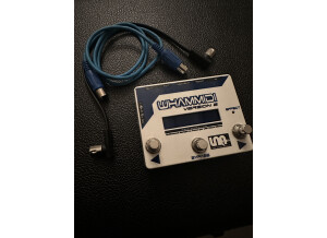 Lna Whammidi (59463)