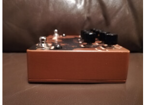 Walrus Audio Vanguard