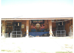 Turbosound TSW 124 (30376)