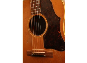 Gibson J50 1956
