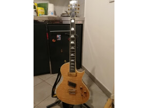 Gibson Nighthawk Custom (86648)
