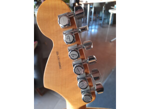 Fender The Edge Strat (3640)