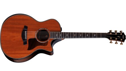 50th Anniversary Builder's Edition 814ce LTD 50th Anniversary Builder's Edition 814ce LTD