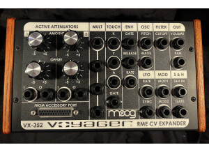 Moog Music VX 352