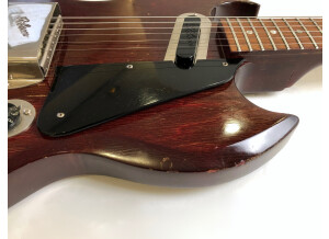Gibson SG-100 (66436)