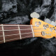 Mike Dirnt Road Worn Precision Bass Mike Dirnt Road Worn Precision Bass