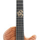 NEO Devin Townsend Signature NEO Devin Townsend Signature
