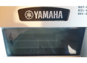 Yamaha DGX-300