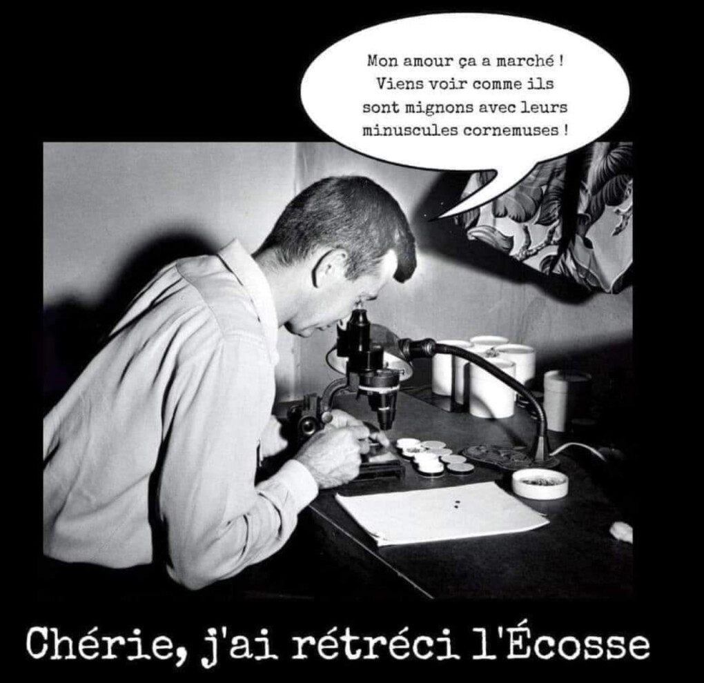 5963418.png 5963418.png