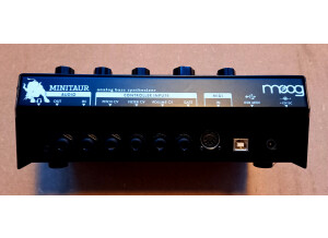 Moog Music Minitaur (68922)