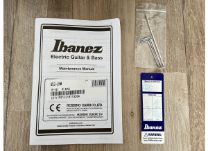 Ibanez Q52